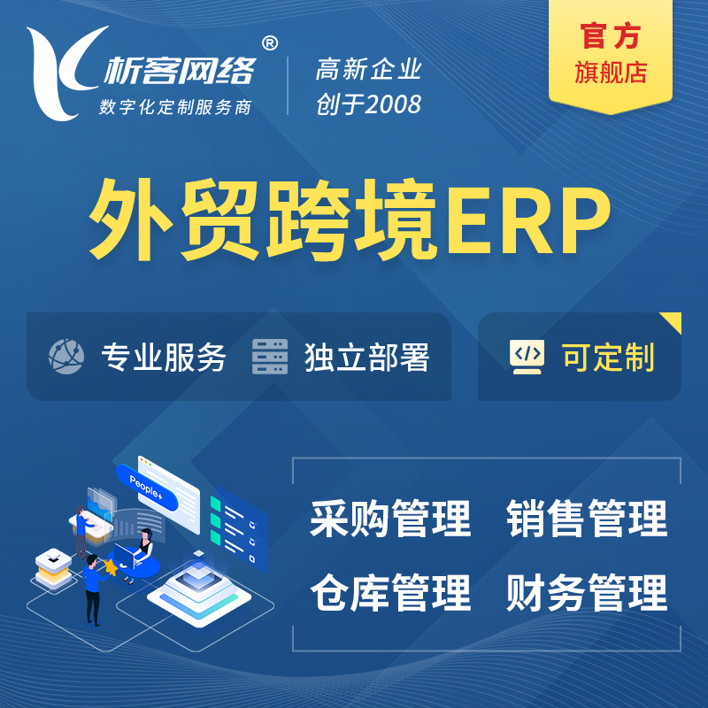 兴安外贸跨境ERP软件生产海外仓ERP管理系统